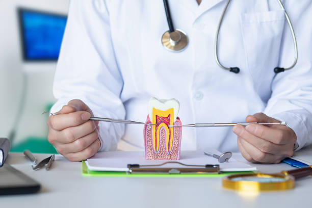 Best Knocked-Out Tooth Emergency  in , OR